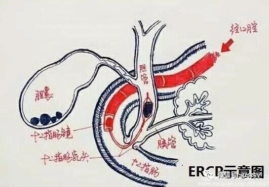 微信图片_20181121093615.jpg